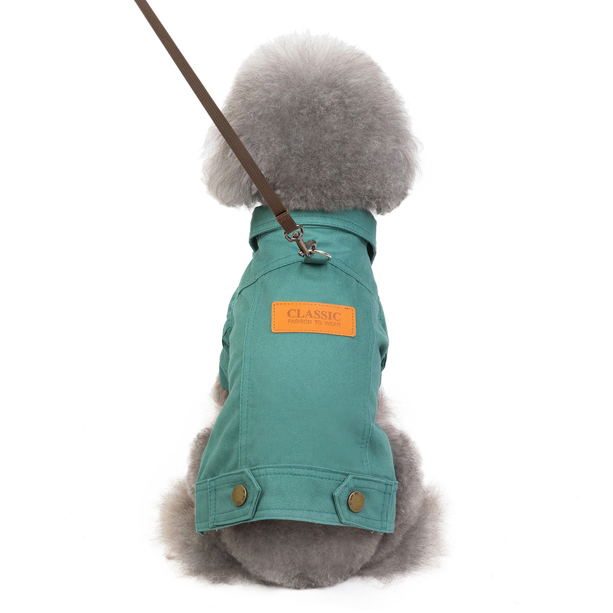 Cute Vest, for Dogs and Cats! - MyPetsBoo