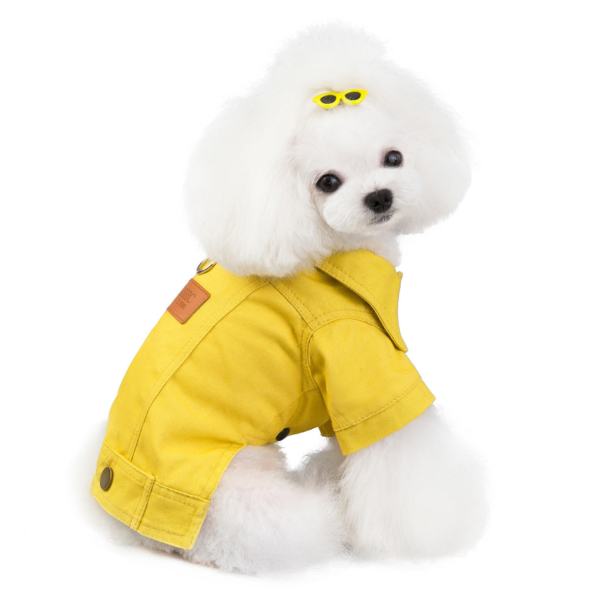 Cute Vest, for Dogs and Cats! - MyPetsBoo