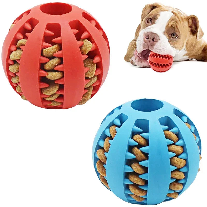 Dog Ball Chew Toy - MyPetsBoo