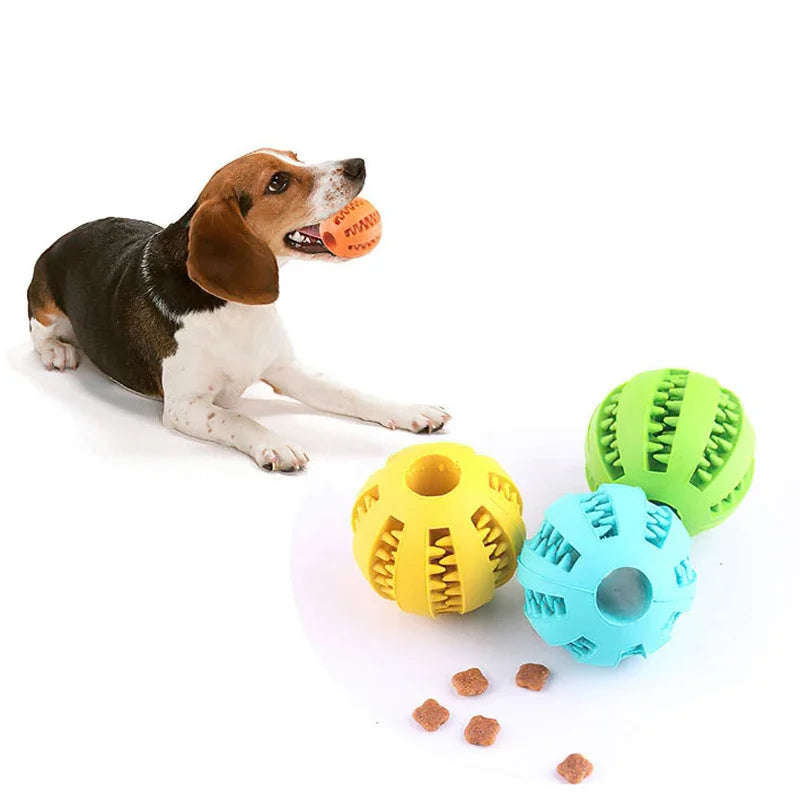 Dog Ball Chew Toy - MyPetsBoo