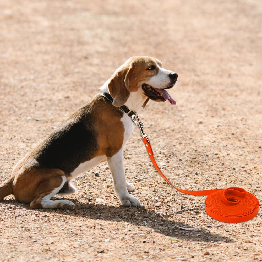 Waterproof Dog Leash