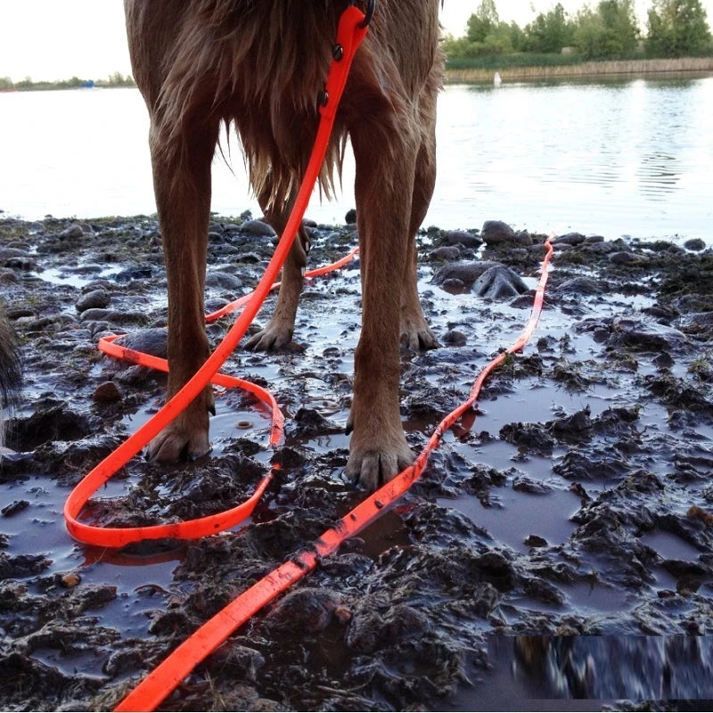 Waterproof Dog Leash