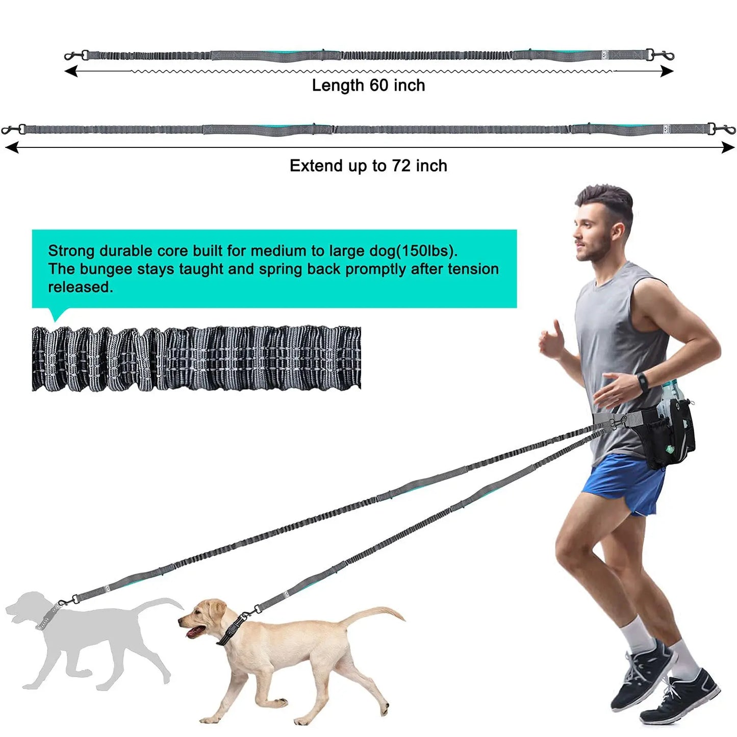 Retractable Hands Free Dog Leash with Adjustable Waist Belt (Available for 2 Dogs)