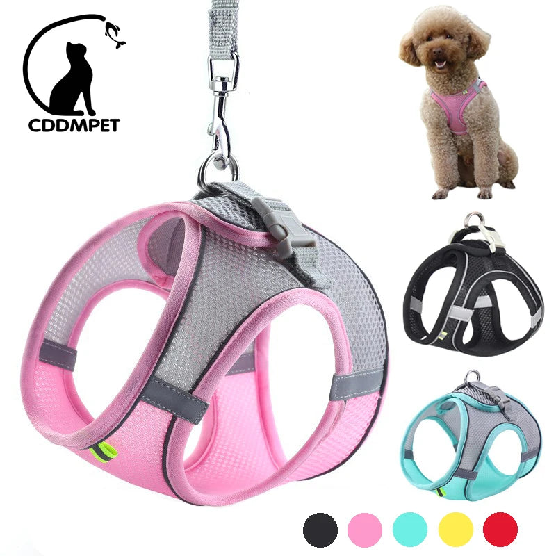 Adjustable Dog Harness Leash Set - MyPetsBoo